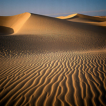 阿尔及利亚,撒哈拉沙漠,沙丘