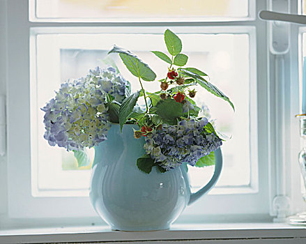 绣球花,树莓,细枝,罐,窗台