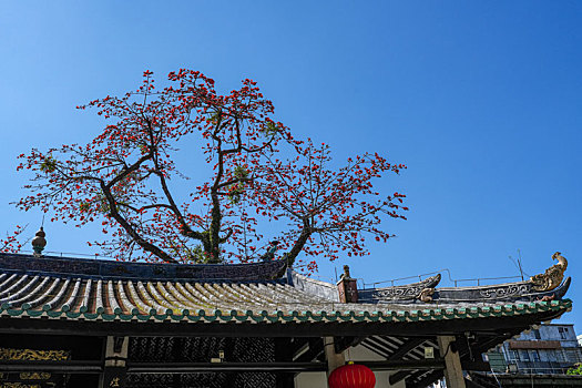 羊城广州千年古刹光孝寺