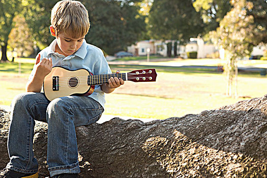 男孩,坐在树上,演奏,夏威夷四弦琴