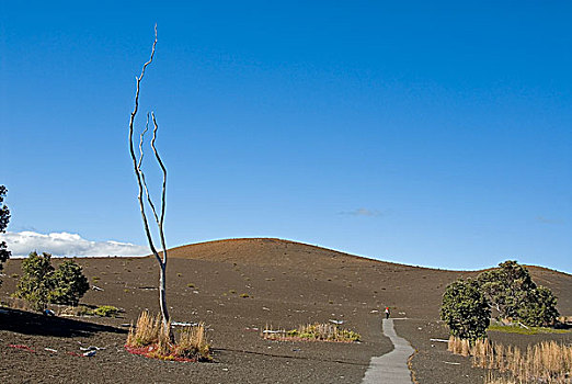 荒废,小路,火山岩,风景,夏威夷火山国家公园,基拉韦厄火山,夏威夷大岛,夏威夷,美国,北美