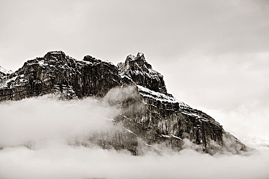 雾状,山,云,班芙国家公园,加拿大