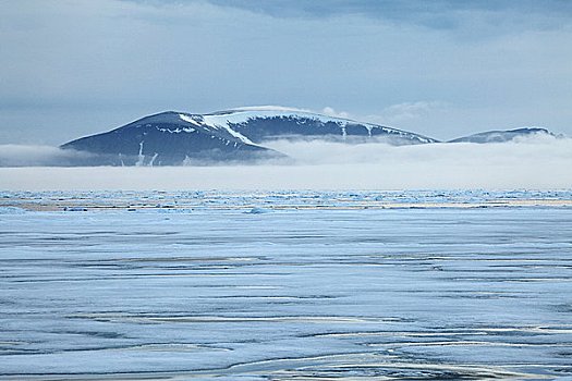 浮冰,北冰洋,斯匹次卑尔根岛,挪威,欧洲