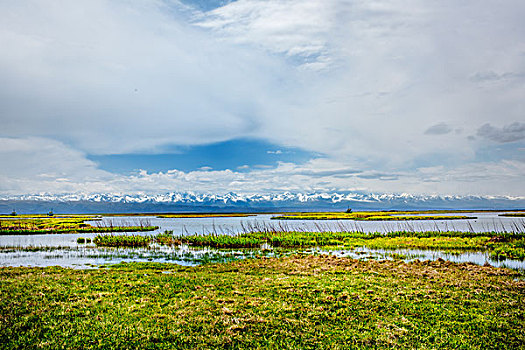 新疆,湖泊,草地,雪山