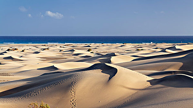 沙丘,大卡纳利岛,加纳利群岛,西班牙,欧洲