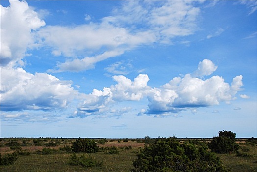 夏天,平原风景