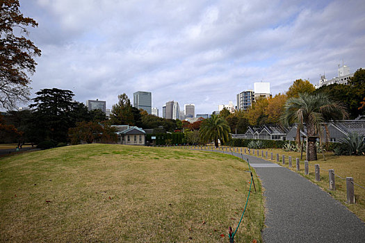 日本东京新宿御苑