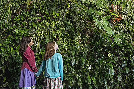 户外,城市,城市生活,两个孩子,握手,仰视,墙壁,遮盖,叶子,大,植物