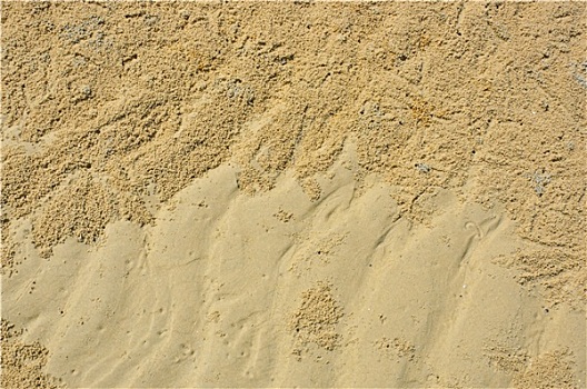 背景,海滩,螃蟹,标记,波纹,图案,沙子