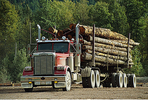 伐木,卡车