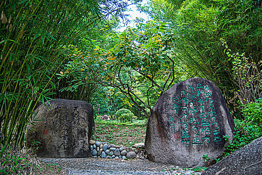 南山文化旅游区风光