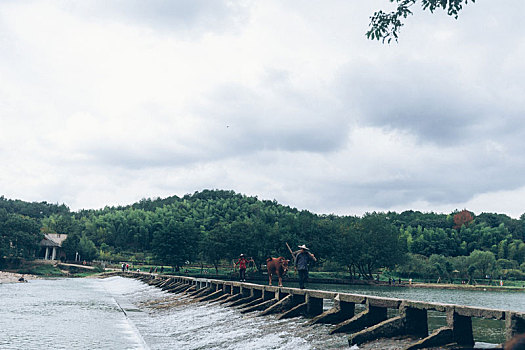 丽水仙都