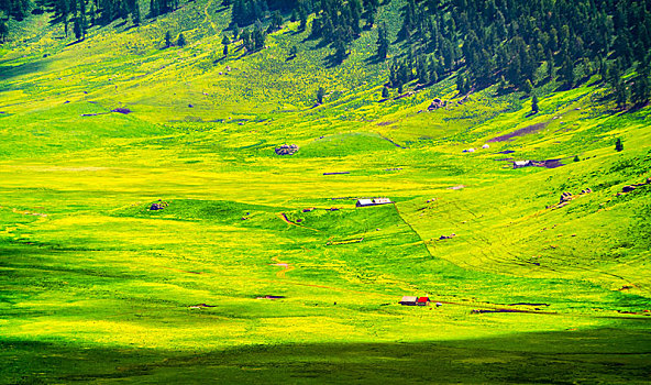新疆维吾尔自治区阿勒泰地区草原牧场