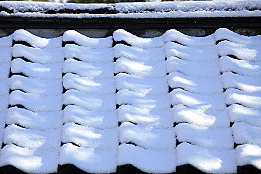 瓷砖,屋顶,雪