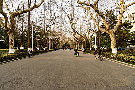 南京大学校园