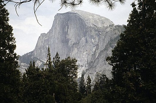树,正面,山,半圆顶,优胜美地国家公园,加利福尼亚,美国
