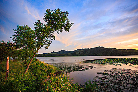 水面,水畔,水岸