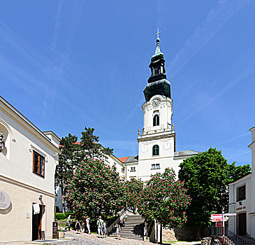 城堡,大教堂,斯洛伐克