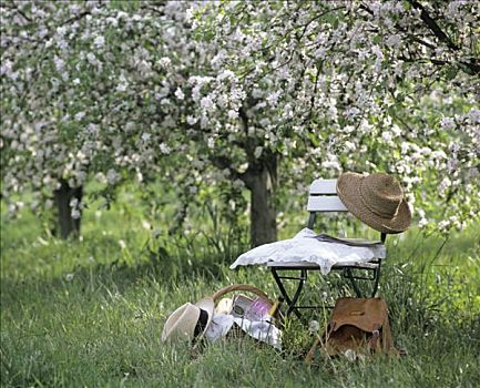 椅子,背包,野餐篮,花,苹果树