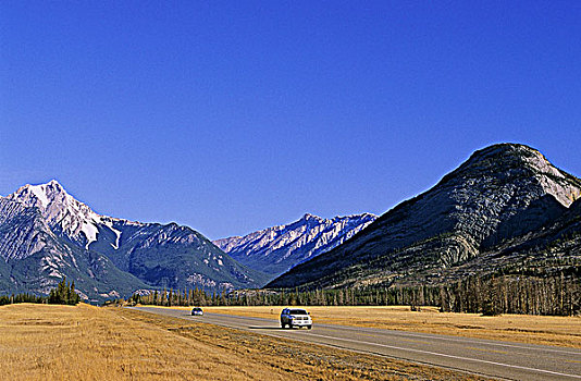 公路,碧玉国家公园,艾伯塔省,加拿大