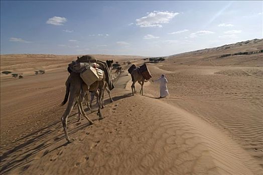 阿曼苏丹国,沙漠,男人,骆驼