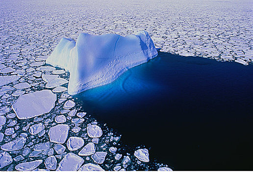 冰山,移动,浮冰,靠近,纽芬兰,拉布拉多犬,加拿大