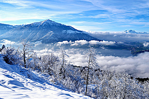 风景,皮拉图斯,积雪,树,前景,瑞士,欧洲