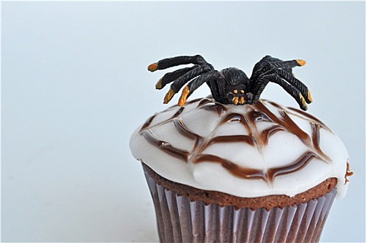 蜘蛛,杯形蛋糕