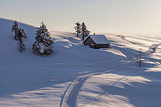 雪景,小屋,卡林西亚