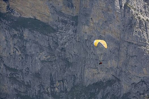 瑞士,伯恩高地,少女峰,滑翔伞,挨着,山