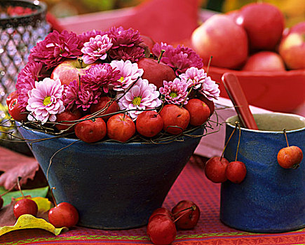 苹果,观赏苹果,菊花