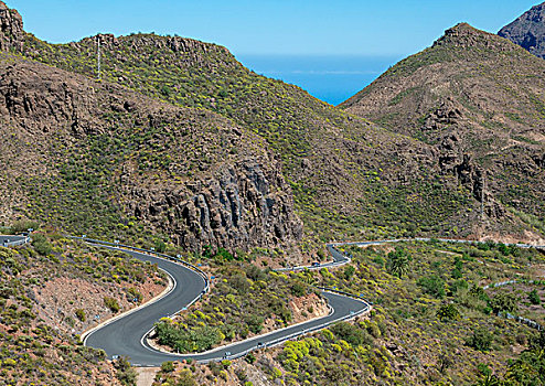 弯路,靠近,大卡纳利岛,加纳利群岛,西班牙,欧洲