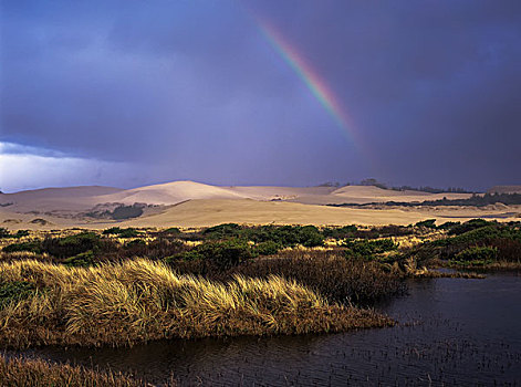 彩虹,上方,沙丘,俄勒冈,国家休闲度假区,美国