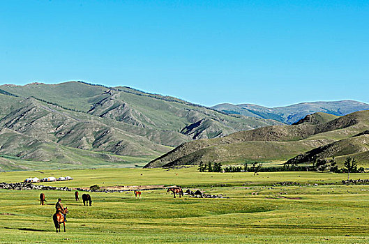 游牧,荒芜,风景,鄂尔浑峡谷,国家公园,前杭爱省,蒙古,亚洲