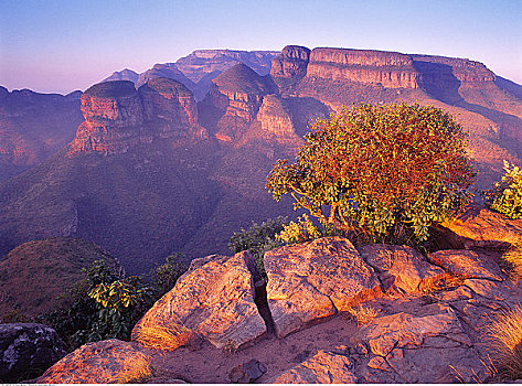 布莱德河峡谷,自然保护区,南非