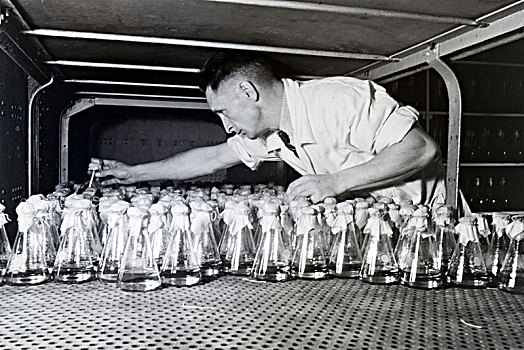 实验室,协助,瓶装,医疗,样品,德国,20世纪30年代