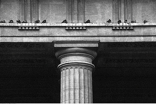 柱子,鸽子,圣徒,巴黎,法国