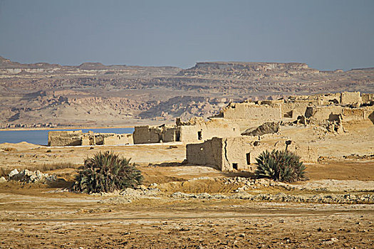 古老,沙子,建筑,近郊,锡瓦绿洲,城镇,西瓦绿洲,埃及
