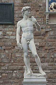 雕塑,大卫像,米开朗基罗,韦奇奥宫,佛罗伦萨,托斯卡纳,意大利,欧洲