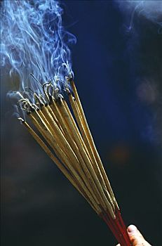 燃烧,熏香,庙宇,母兽,女神,美女,著名,学者,室外,泛舟,湖,17世纪