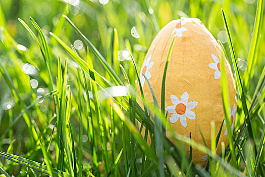 复活节彩蛋,橙色,箔,草