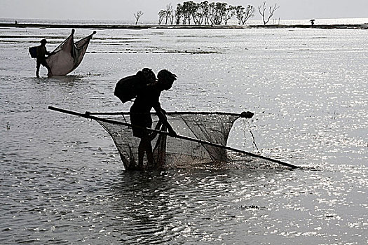 渔民,捕鱼,沿岸,区域,城市,洪水,潮汐,涌,气旋,上方,孟加拉,五月,2009年,损坏,堤,海滩