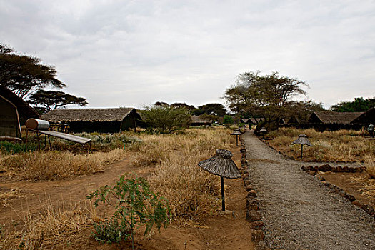 非洲草房住宿