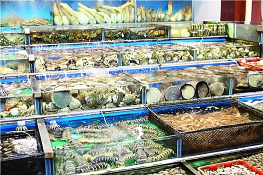 海鲜,市场,鱼缸,香港