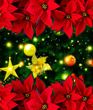 圣诞节,用圣诞红与耶诞树设计成的贺卡