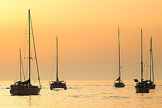 帆船,日落,亚德里亚海