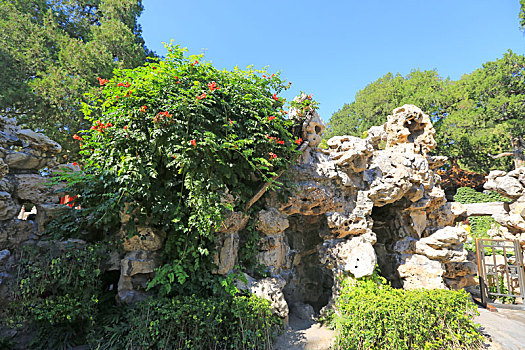 北京故宫御花园风光