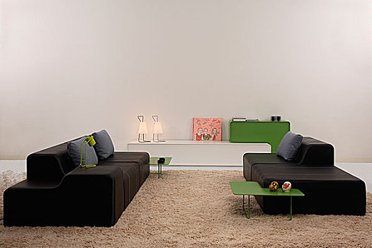 现代,起居室,两个,黑色,沙发,座椅,面对面,长,堆,地毯,白色,架子,灯