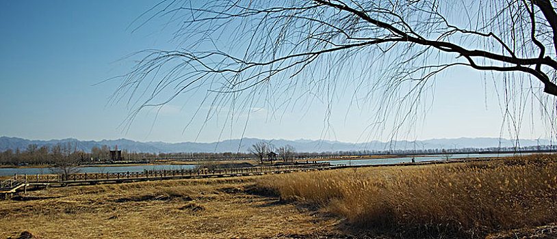 野鸭湖