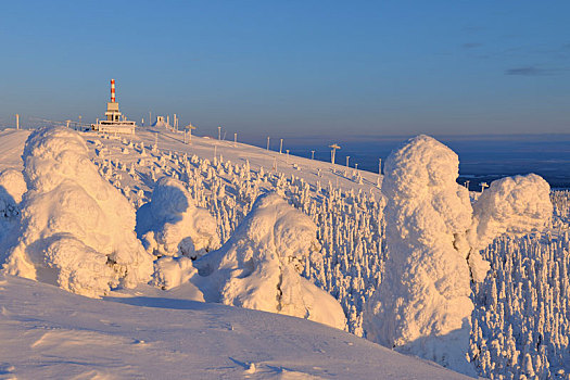 积雪,山峰,冬天,库萨莫,芬兰